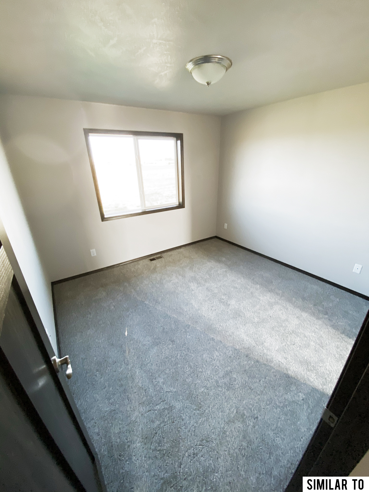 Harrington I + Basement Signature Companies